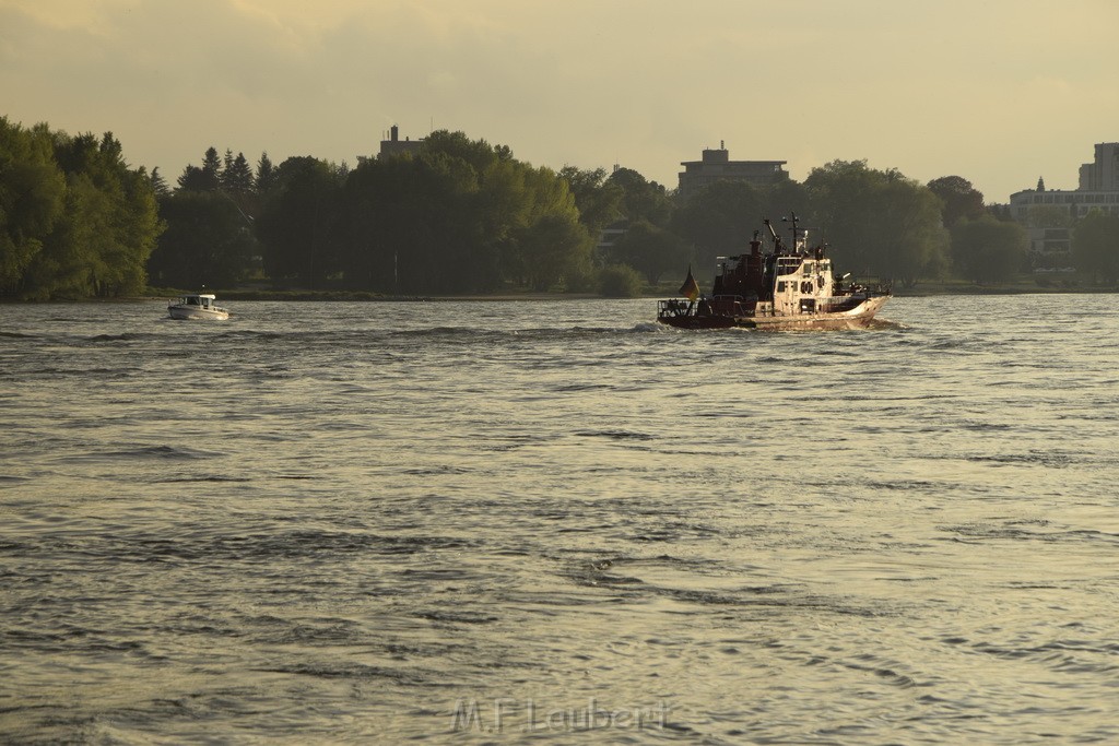 PRhein Koeln Porz Ensen Schwimmer untergegangen P173.JPG - Miklos Laubert